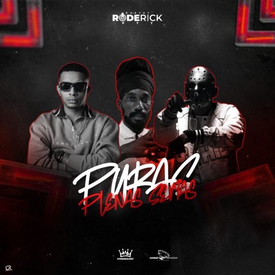 Puras Plenas Serias MixTape