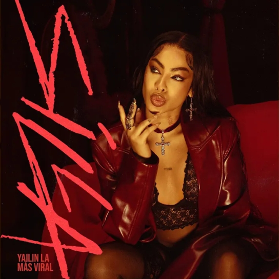 Yailin La Mas Viral ft Puyalo Pantera - Silla
